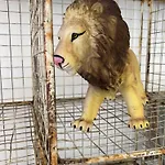 ヴィラ La Casa Del Racou *