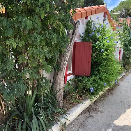 La Casa Del Racou アルジェレス・シュル・メール