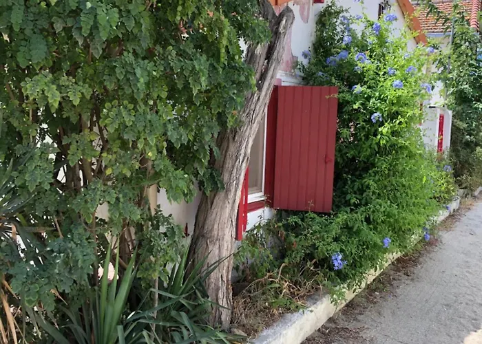 La Casa Del Racou Argeles-sur-Mer